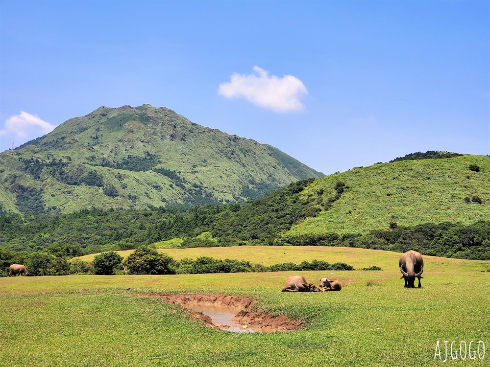 2026台北景點 擎天崗草原中央步道 陽明山登山步道 遠眺台北盆地