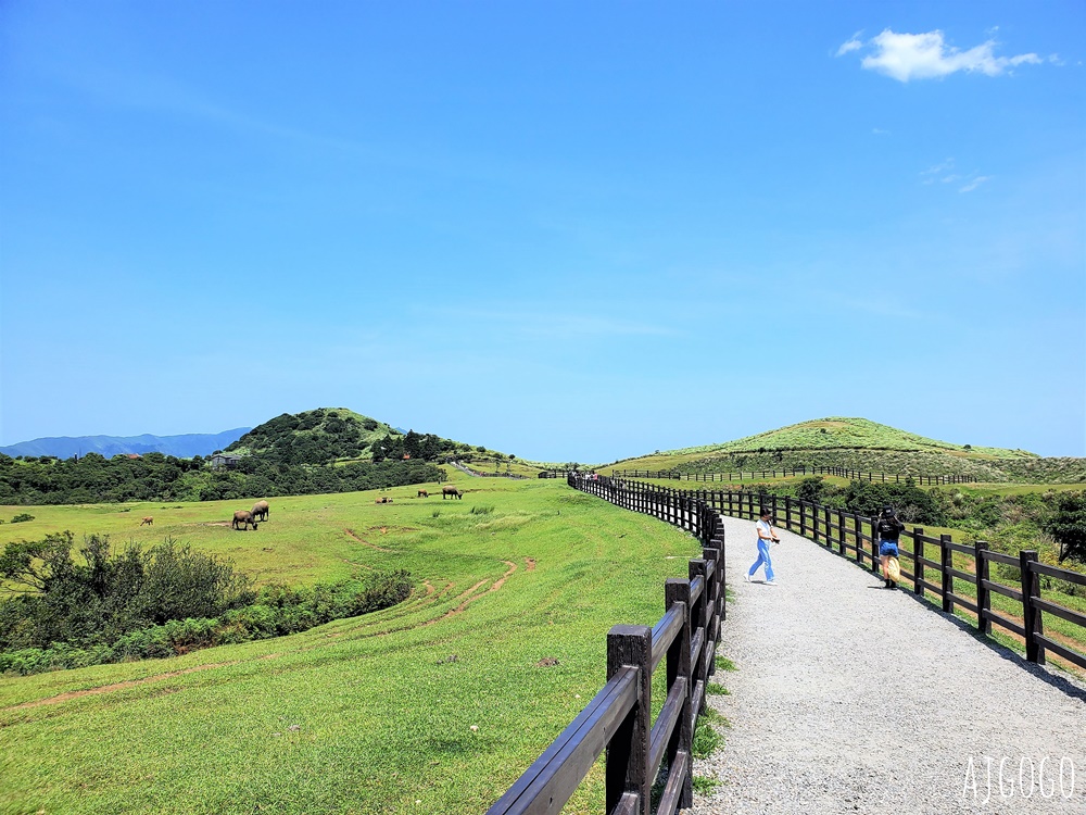 2026台北景點 擎天崗草原中央步道 陽明山登山步道 遠眺台北盆地