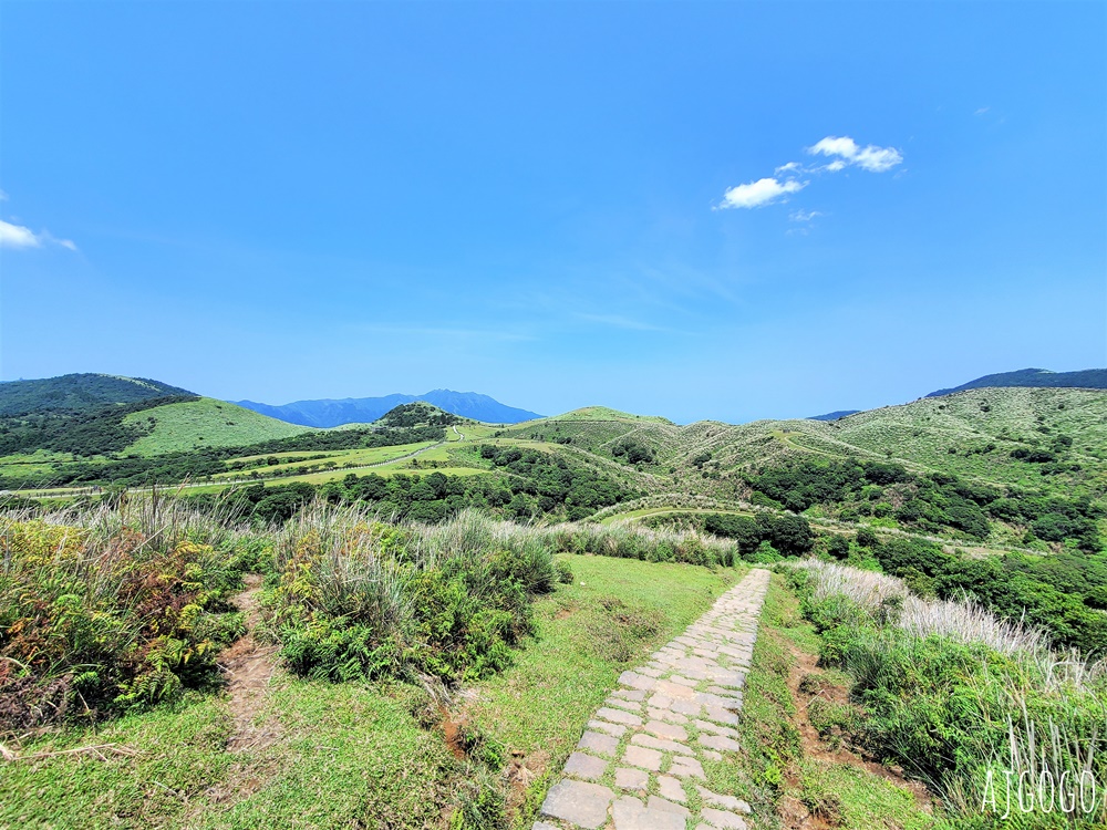 2026台北景點 擎天崗草原中央步道 陽明山登山步道 遠眺台北盆地