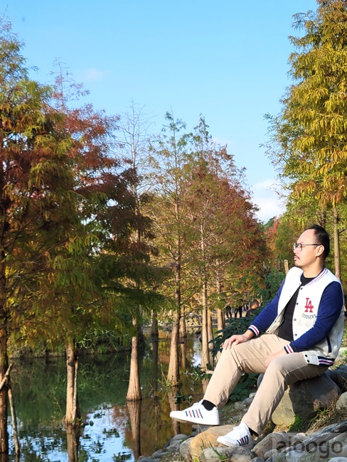 2026桃園景點 大溪落羽松 月眉人工濕地生態公園 372株落羽松 停車場