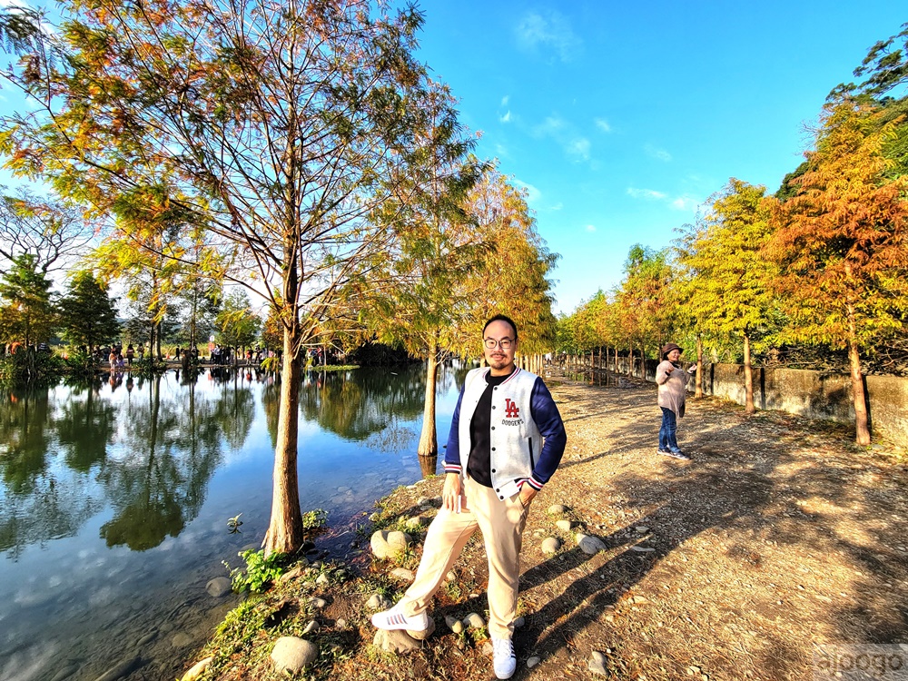 2026桃園景點 大溪落羽松 月眉人工濕地生態公園 372株落羽松 停車場