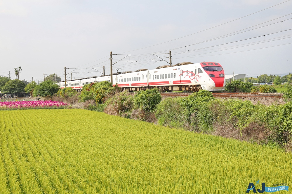 已歇業 彰化社頭田中景點：雙鐵花田 粉嫩劍蘭花與台鐵列車一起拍 開放時間