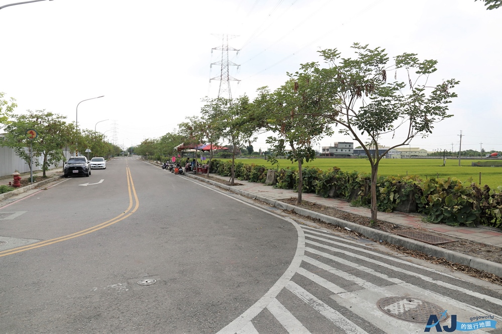 已歇業 彰化社頭田中景點：雙鐵花田 粉嫩劍蘭花與台鐵列車一起拍 開放時間