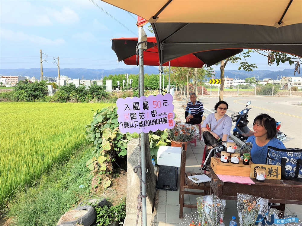 已歇業 彰化社頭田中景點：雙鐵花田 粉嫩劍蘭花與台鐵列車一起拍 開放時間