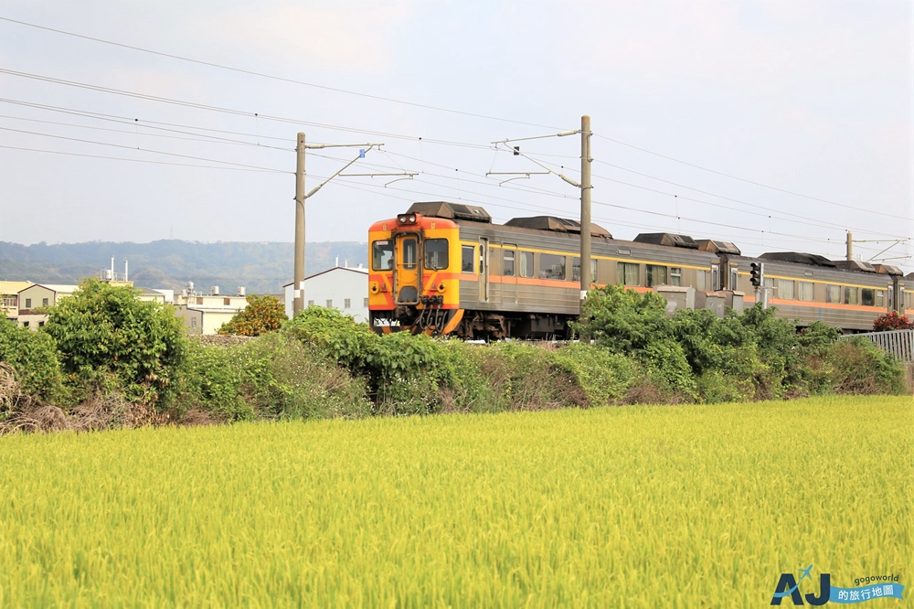 已歇業 彰化社頭田中景點：雙鐵花田 粉嫩劍蘭花與台鐵列車一起拍 開放時間