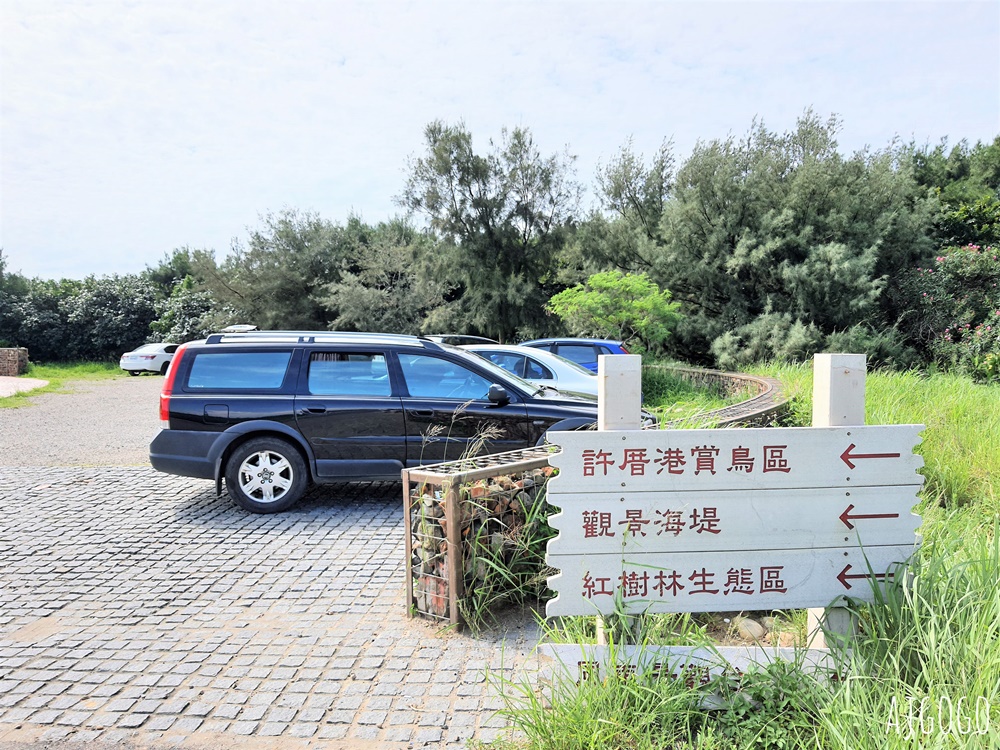 桃園景點 許厝港濕地 北台灣最大海岸型濕地、野鳥迷最愛