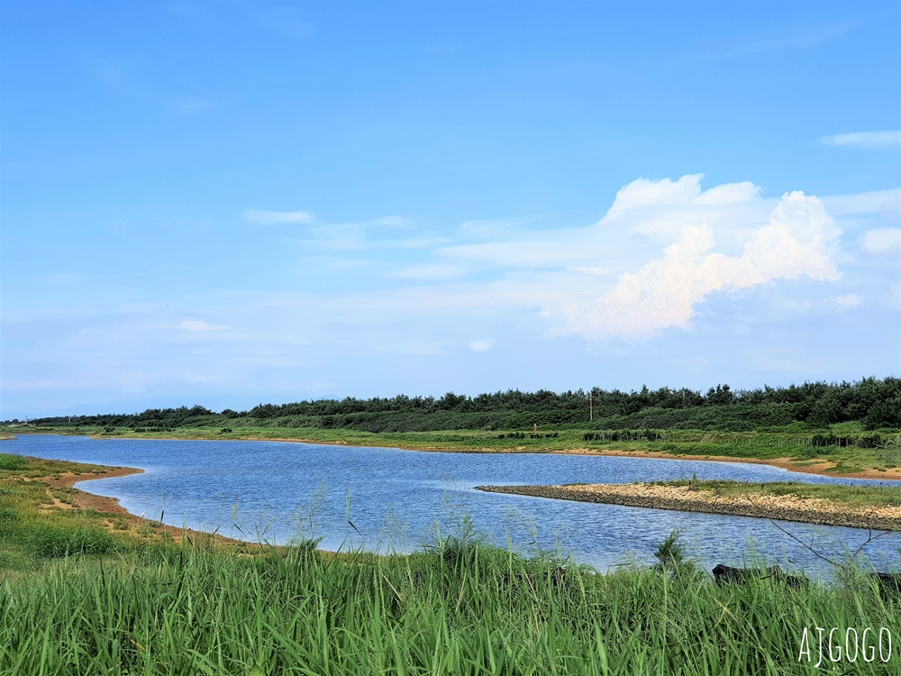 桃園景點 許厝港濕地 北台灣最大海岸型濕地、野鳥迷最愛