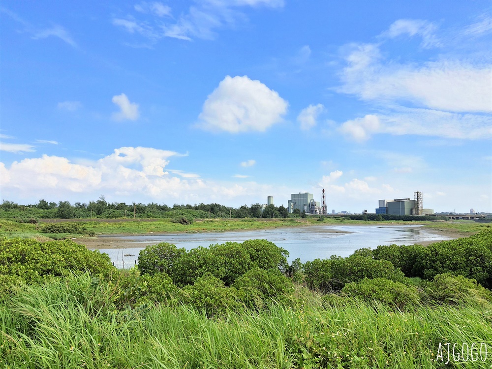 桃園景點 許厝港濕地 北台灣最大海岸型濕地、野鳥迷最愛