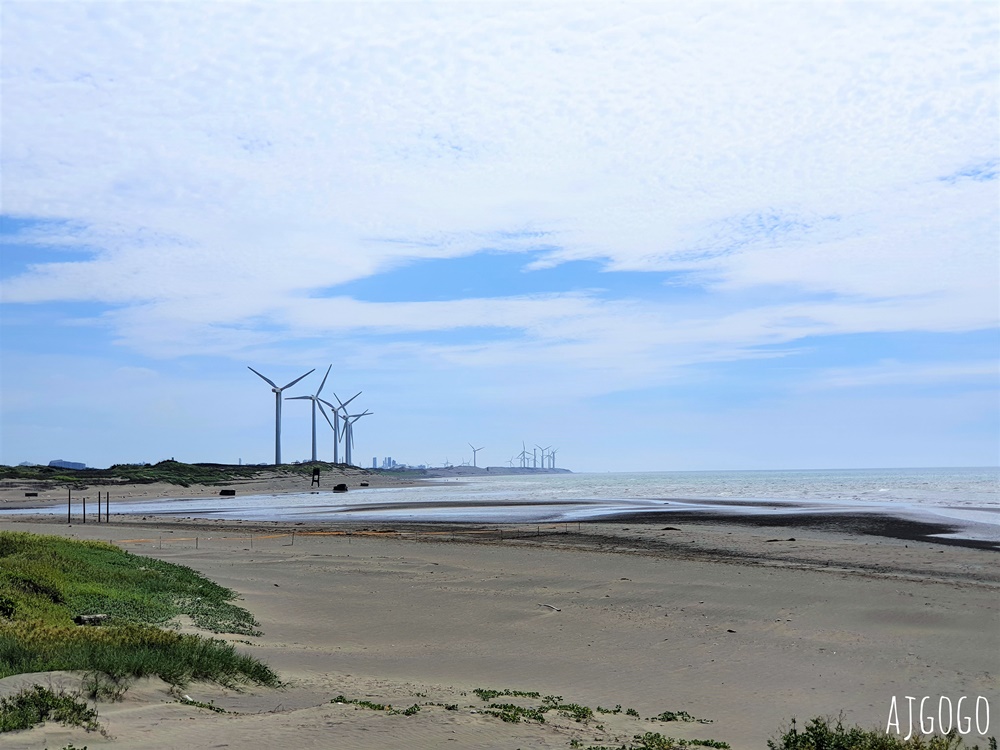桃園景點 許厝港濕地 北台灣最大海岸型濕地、野鳥迷最愛