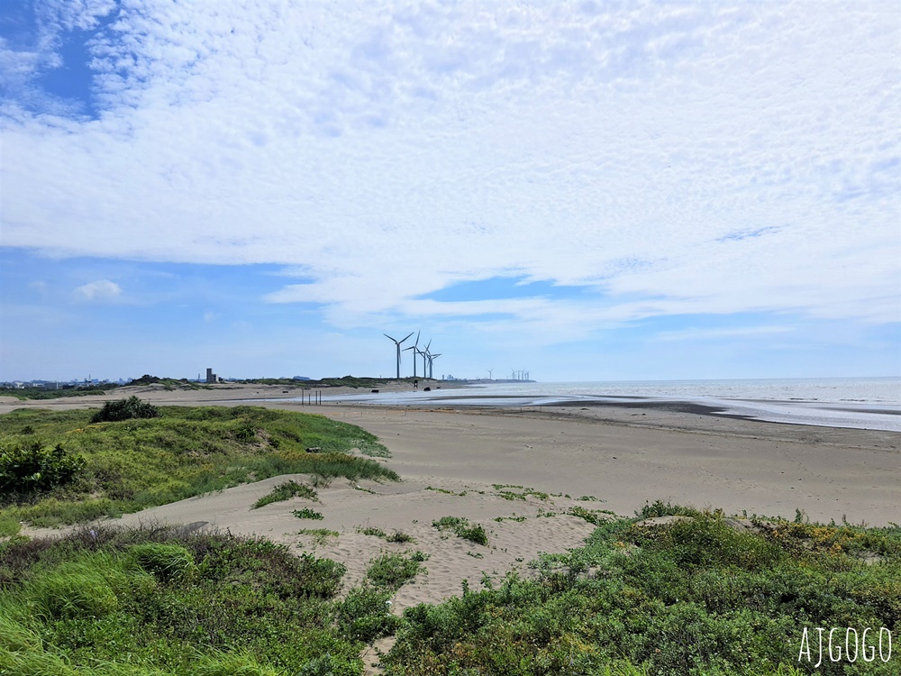桃園景點 許厝港濕地 北台灣最大海岸型濕地、野鳥迷最愛