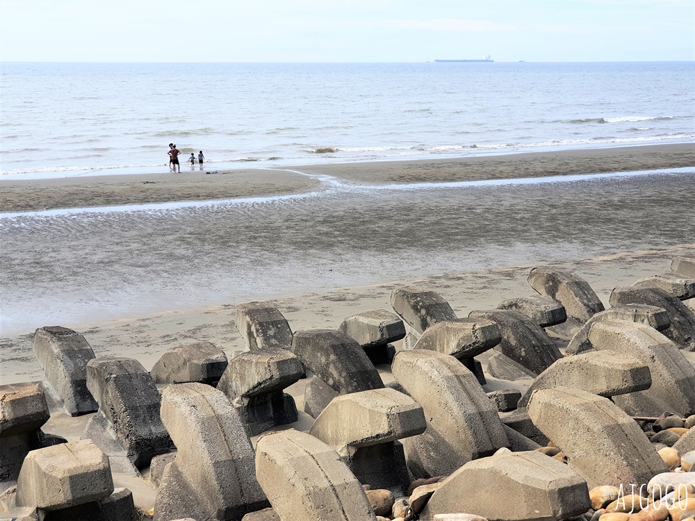 桃園景點 許厝港濕地 北台灣最大海岸型濕地、野鳥迷最愛