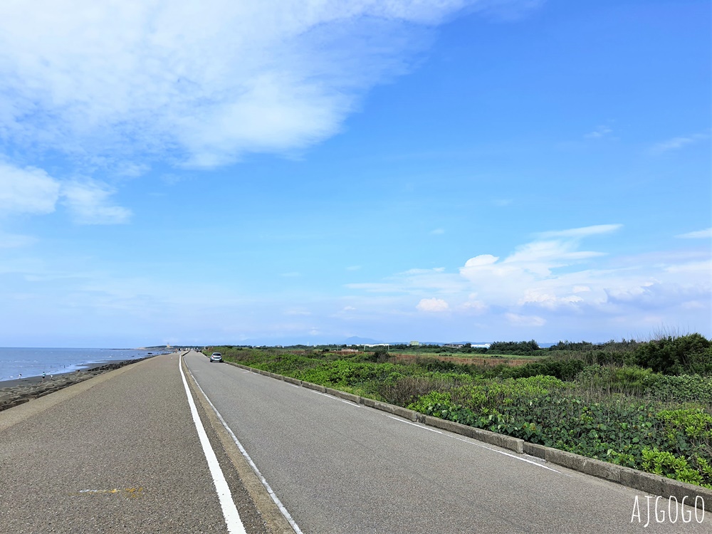 桃園景點 許厝港濕地 北台灣最大海岸型濕地、野鳥迷最愛