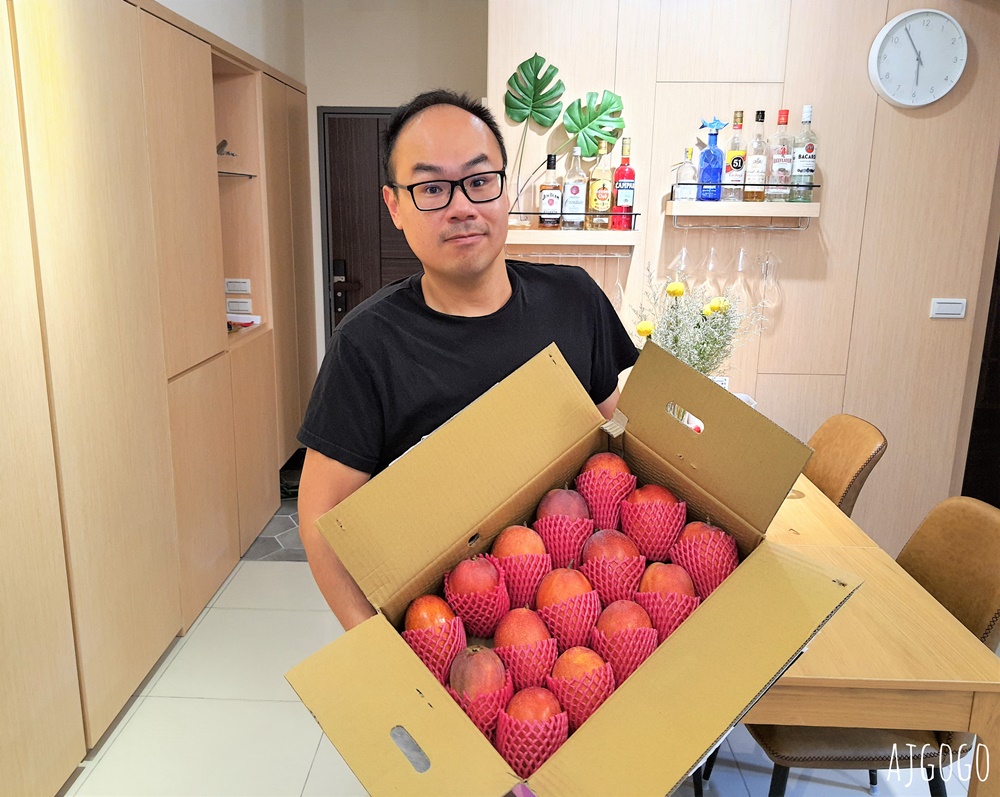 簡單食譜 芒果優格冰淇淋 低熱量好吃的冰淇淋 減肥餐可吃