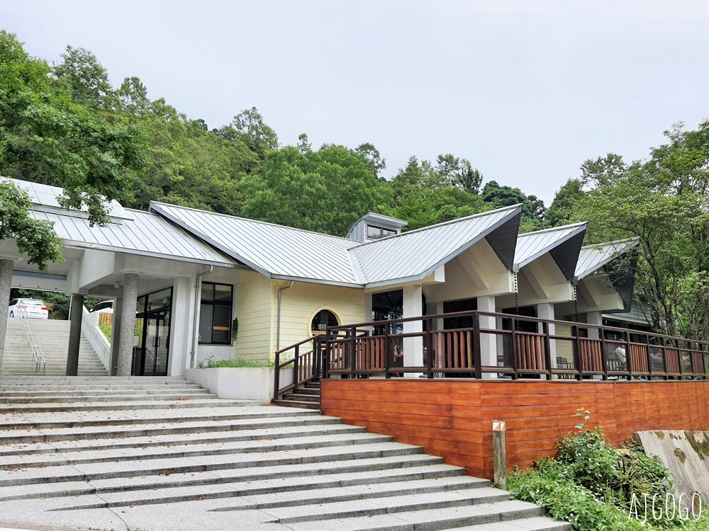 2026桃園景點 東眼山國家森林遊樂區 柳杉樹海森林步道難度不高