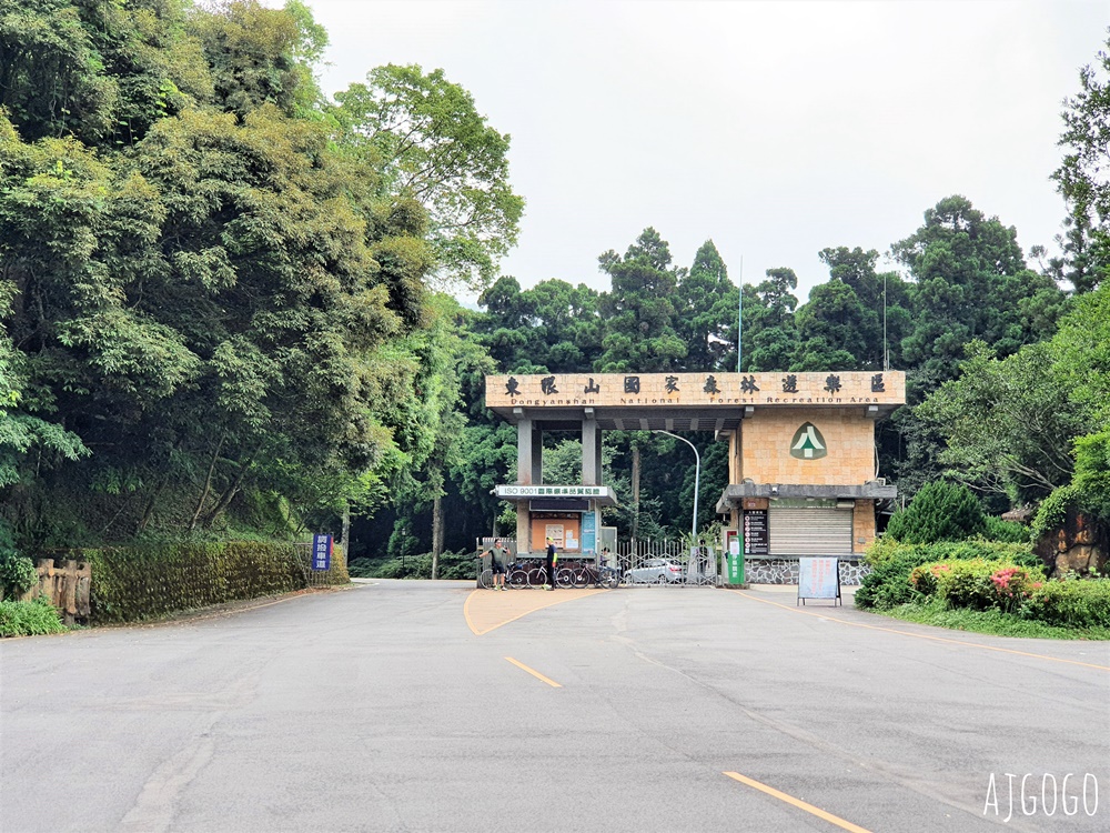2026桃園景點 東眼山國家森林遊樂區 柳杉樹海森林步道難度不高