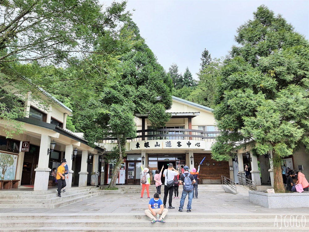 2026桃園景點 東眼山國家森林遊樂區 柳杉樹海森林步道難度不高