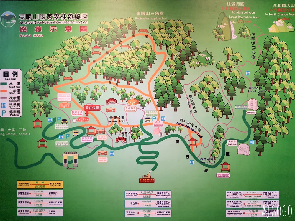 2026桃園景點 東眼山國家森林遊樂區 柳杉樹海森林步道難度不高