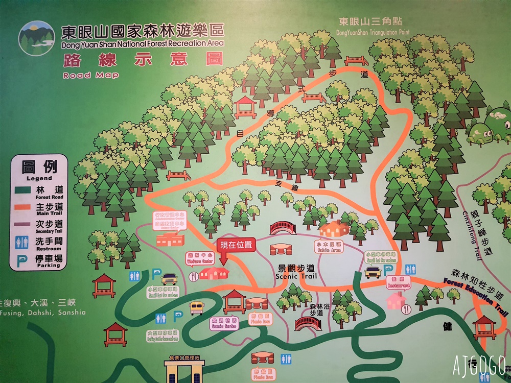 2026桃園景點 東眼山國家森林遊樂區 柳杉樹海森林步道難度不高
