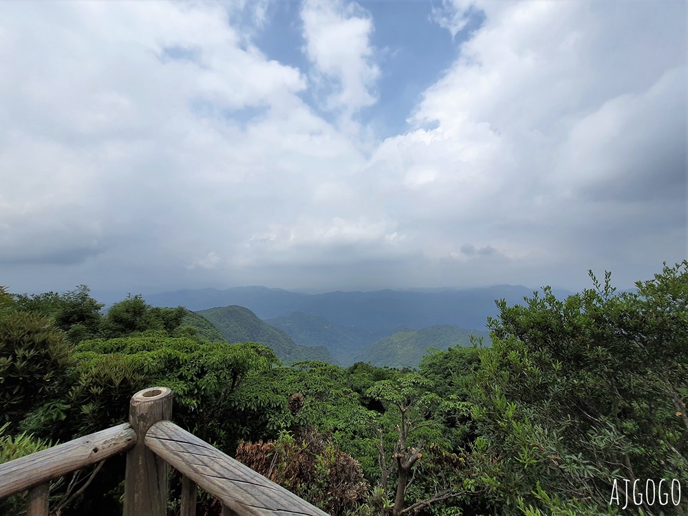 2026桃園景點 東眼山國家森林遊樂區 柳杉樹海森林步道難度不高