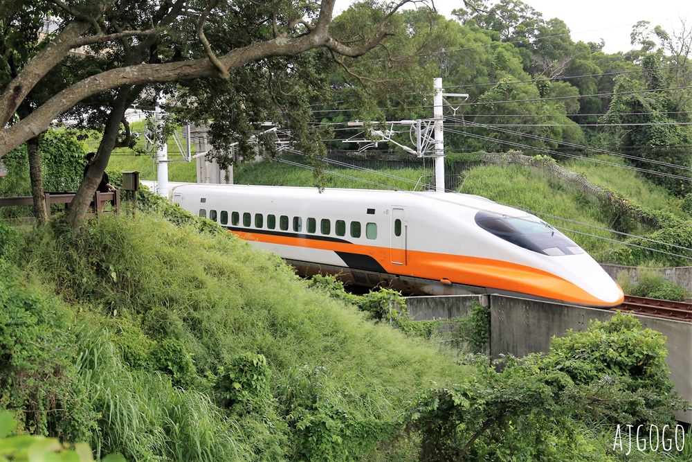 台中景點 水流東高鐵觀景台 近距離高鐵列車 順遊水流東桐花步道