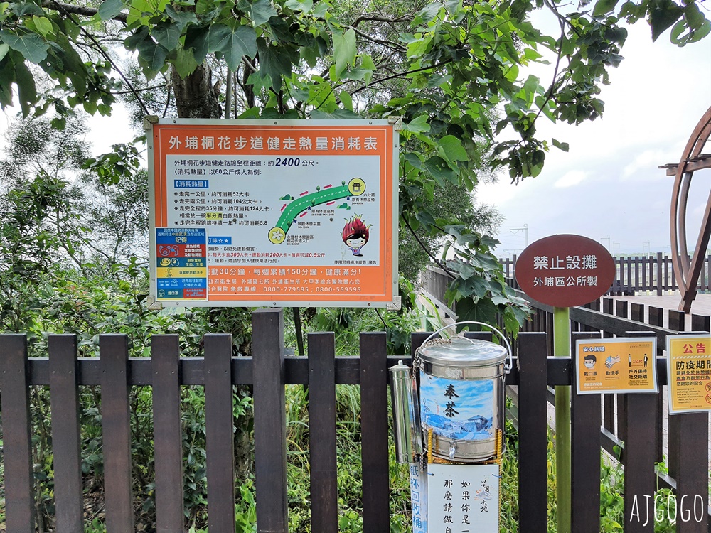 台中景點 水流東高鐵觀景台 近距離高鐵列車 順遊水流東桐花步道