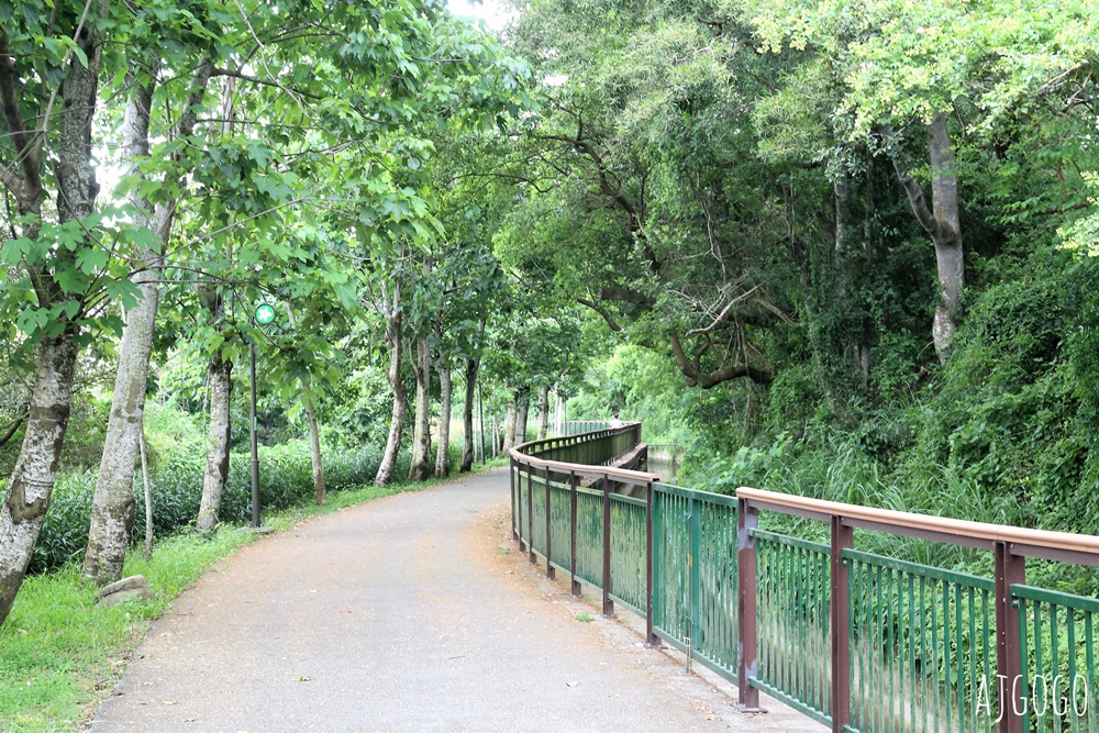 台中景點 水流東高鐵觀景台 近距離高鐵列車 順遊水流東桐花步道