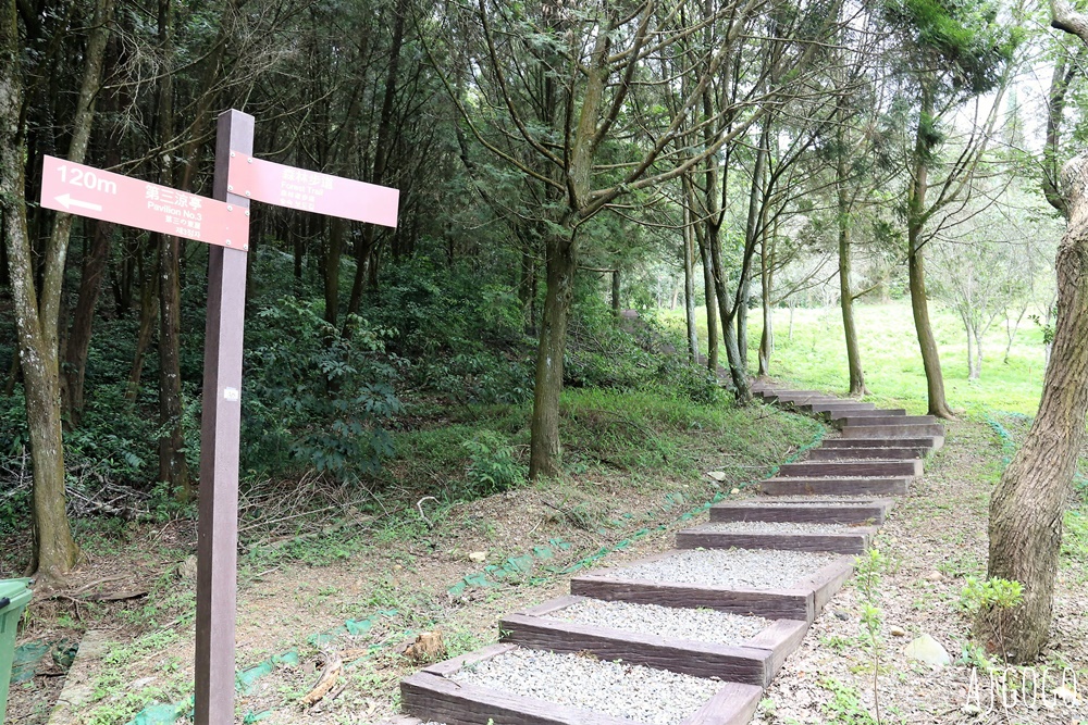 南投景點 金龍山觀景臺 南投埔里看日出 台灣三大攝影聖地