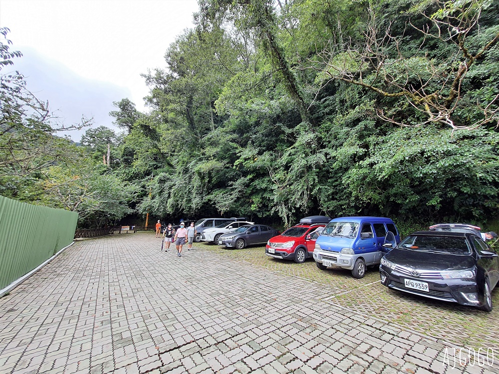 桃園景點 拉拉山神木群步道 北台灣唯一千年巨木林區 拉拉山森林遊樂區好走的森林步道