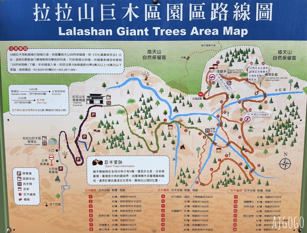 桃園景點 拉拉山神木群步道 北台灣唯一千年巨木林區 拉拉山森林遊樂區好走的森林步道