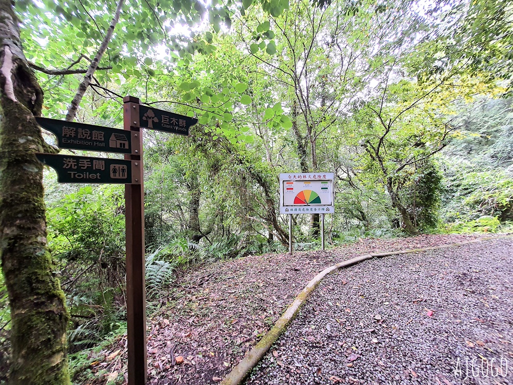 桃園景點 拉拉山神木群步道 北台灣唯一千年巨木林區 拉拉山森林遊樂區好走的森林步道