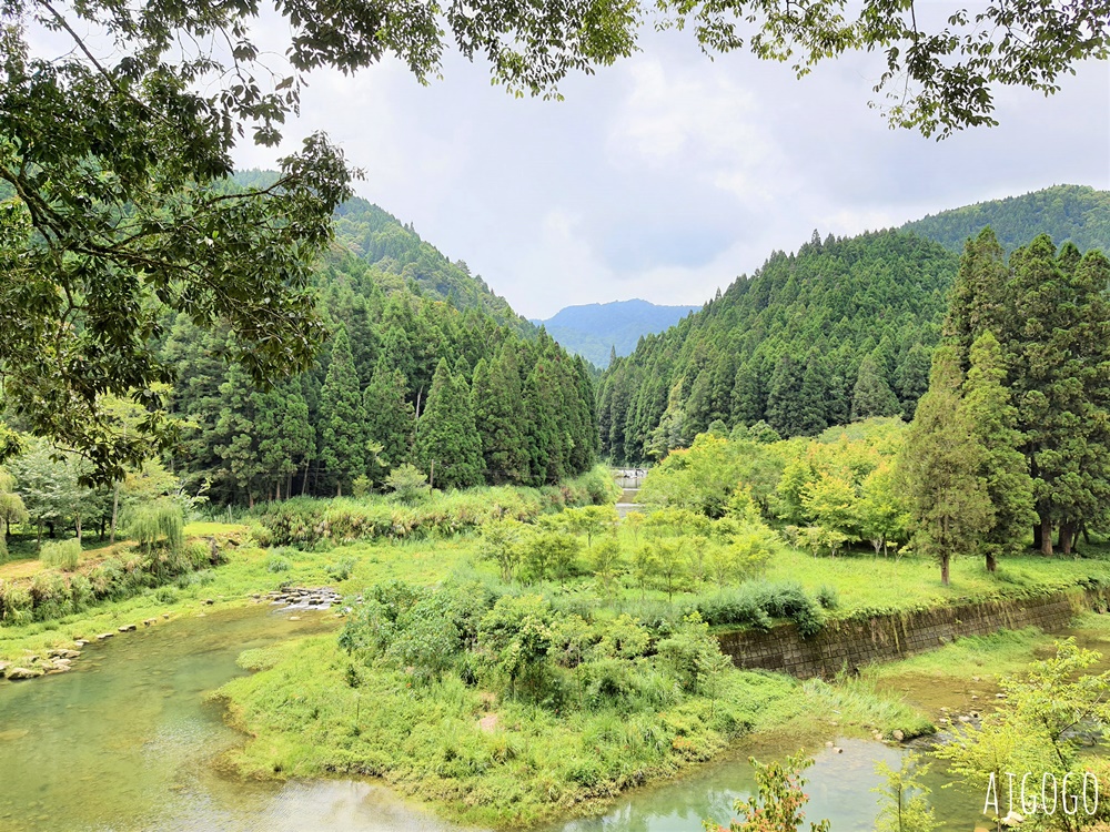 2026杉林溪住宿 杉林溪大飯店 早餐、晚餐、和式六人房 一泊二食 杉林溪住宿推薦