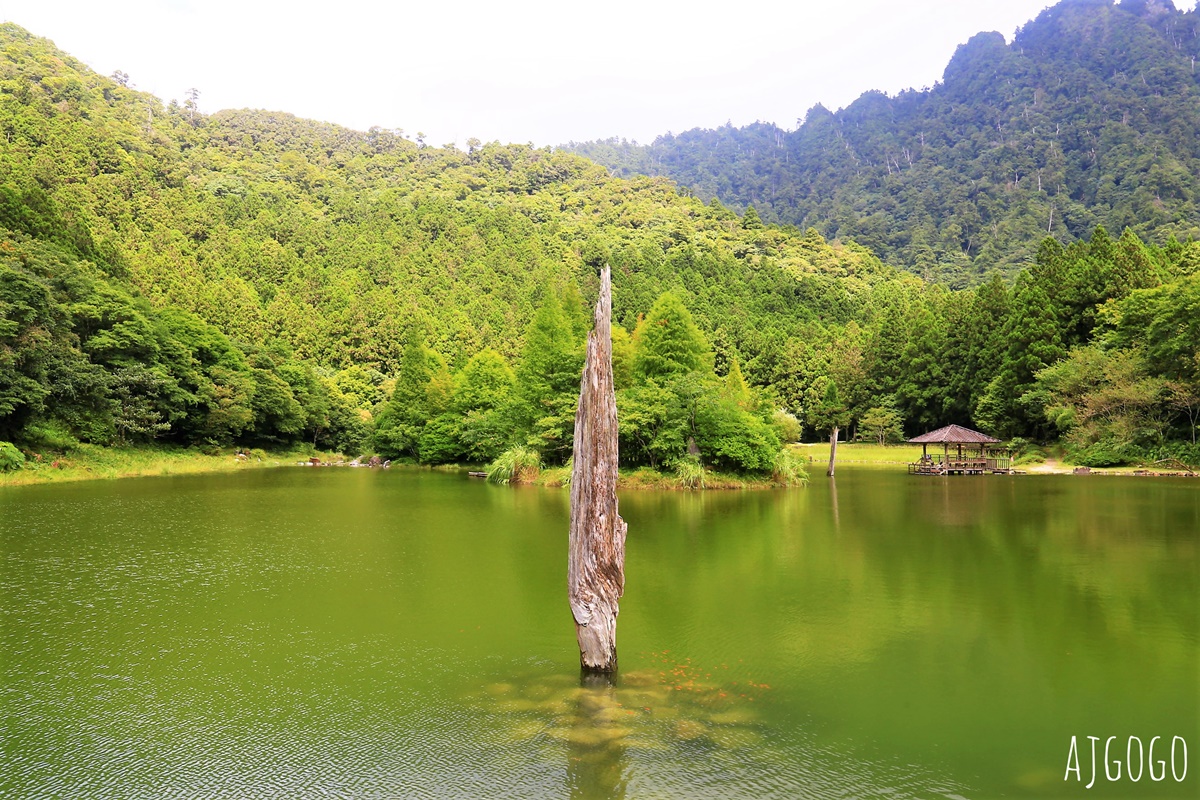 宜蘭景點 明池國家森林遊樂區 夏季避暑勝地 北橫公路景點推薦 @AJ的旅行地圖