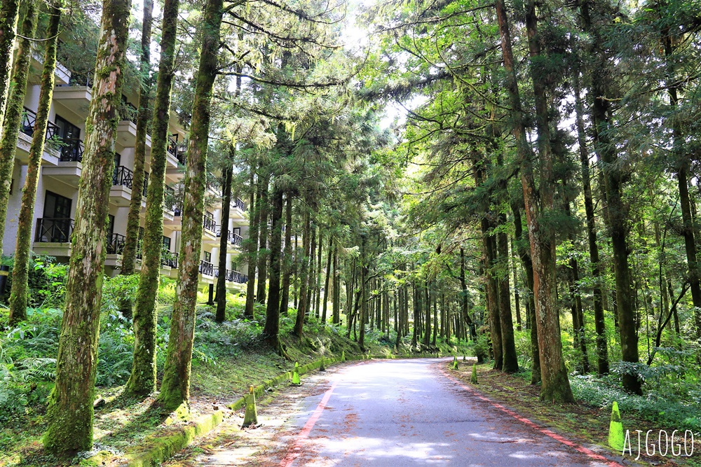 宜蘭景點 明池國家森林遊樂區 夏季避暑勝地 北橫公路景點推薦 宜蘭景點 明池國家森林遊樂區 夏季避暑勝地 北橫公路景點推薦