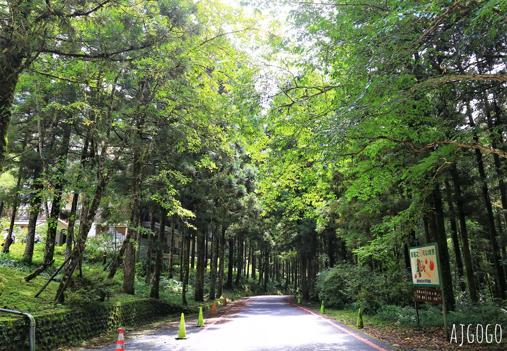 宜蘭景點 明池國家森林遊樂區 夏季避暑勝地 北橫公路景點推薦 宜蘭景點 明池國家森林遊樂區 夏季避暑勝地 北橫公路景點推薦
