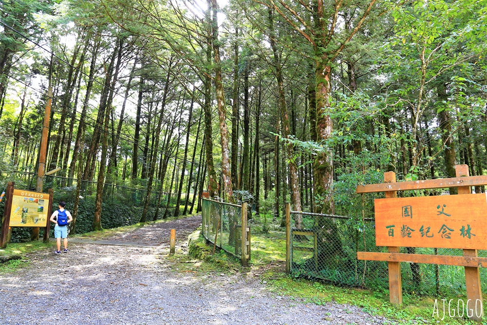 宜蘭景點 明池國家森林遊樂區 夏季避暑勝地 北橫公路景點推薦 宜蘭景點 明池國家森林遊樂區 夏季避暑勝地 北橫公路景點推薦