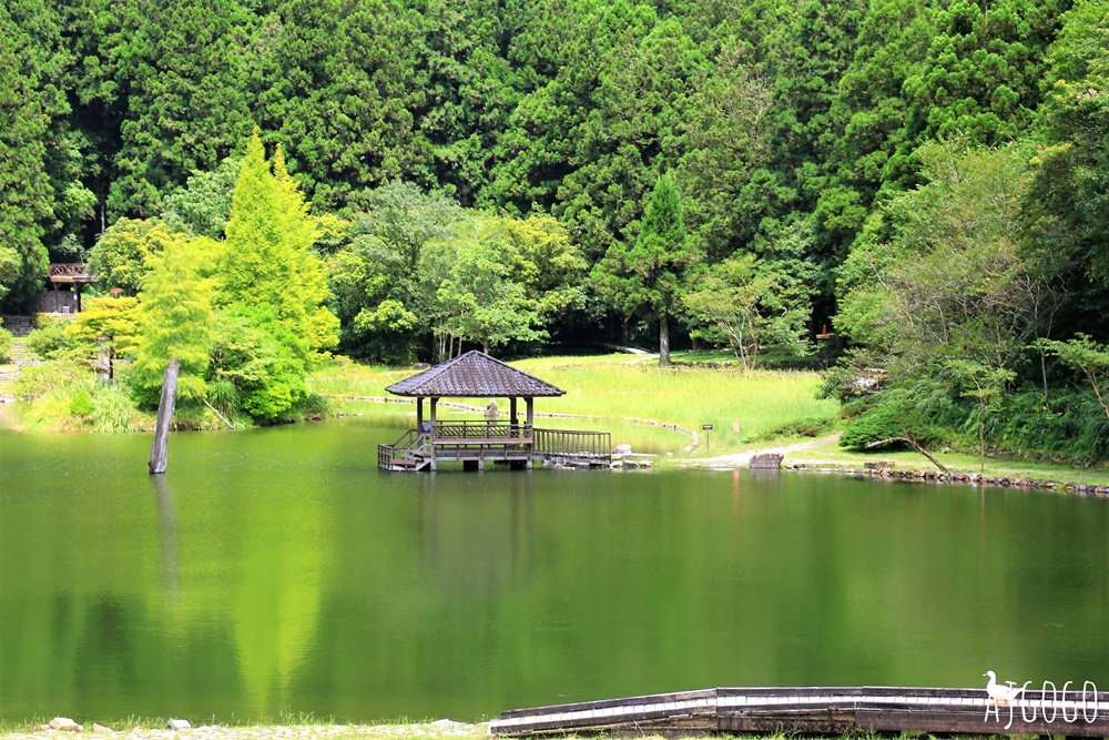 宜蘭景點 明池國家森林遊樂區 夏季避暑勝地 北橫公路景點推薦 宜蘭景點 明池國家森林遊樂區 夏季避暑勝地 北橫公路景點推薦