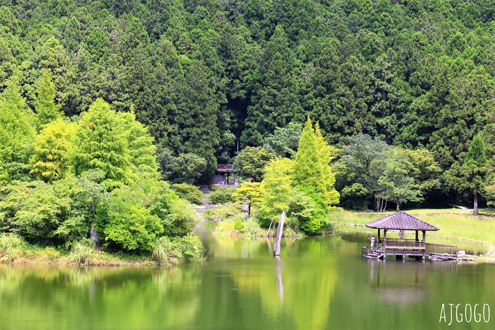 宜蘭景點 明池國家森林遊樂區 夏季避暑勝地 北橫公路景點推薦