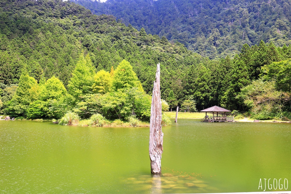 宜蘭景點 明池國家森林遊樂區 夏季避暑勝地 北橫公路景點推薦 宜蘭景點 明池國家森林遊樂區 夏季避暑勝地 北橫公路景點推薦