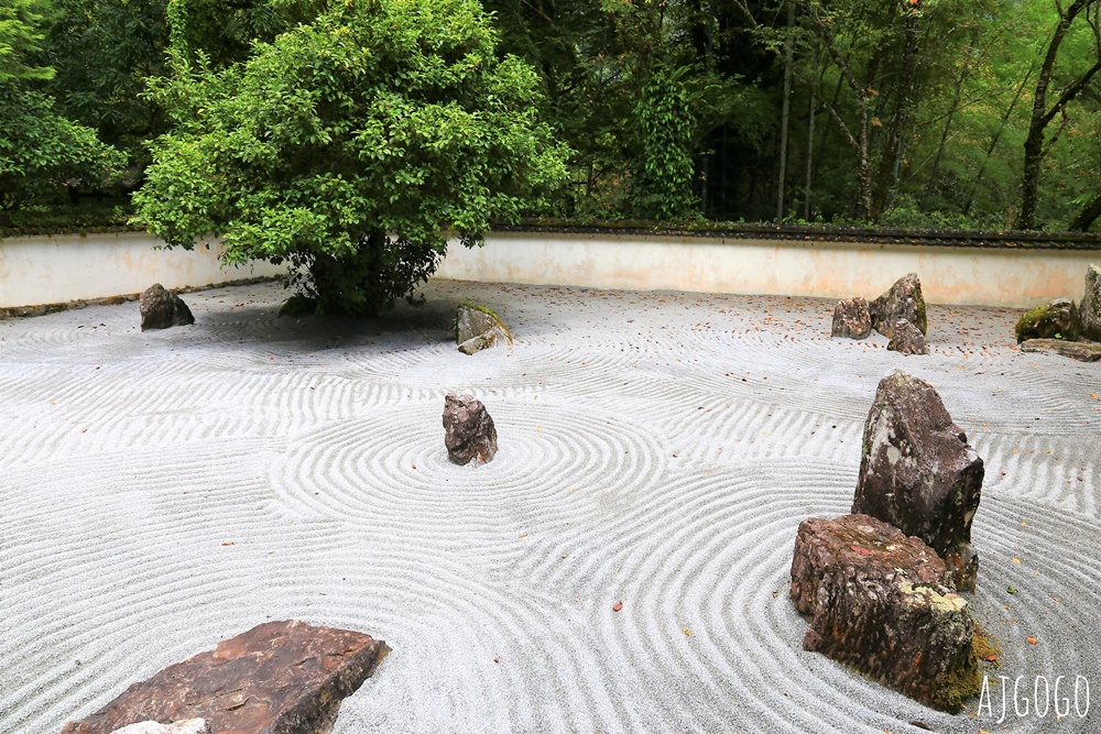 宜蘭景點 明池國家森林遊樂區 夏季避暑勝地 北橫公路景點推薦