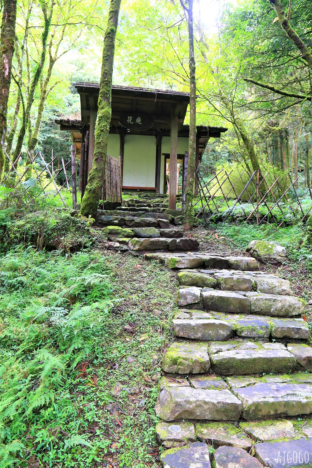 宜蘭景點 明池國家森林遊樂區 夏季避暑勝地 北橫公路景點推薦 宜蘭景點 明池國家森林遊樂區 夏季避暑勝地 北橫公路景點推薦