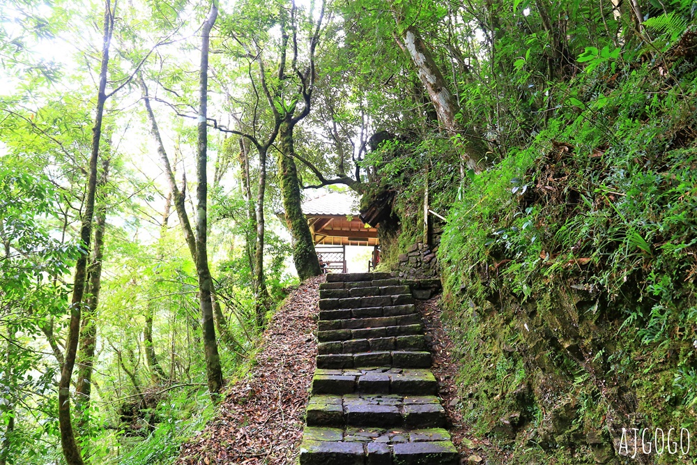 宜蘭景點 明池國家森林遊樂區 夏季避暑勝地 北橫公路景點推薦
