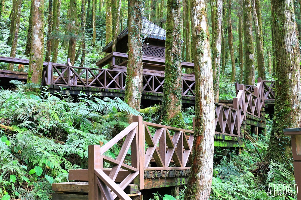 宜蘭景點 明池國家森林遊樂區 夏季避暑勝地 北橫公路景點推薦 宜蘭景點 明池國家森林遊樂區 夏季避暑勝地 北橫公路景點推薦