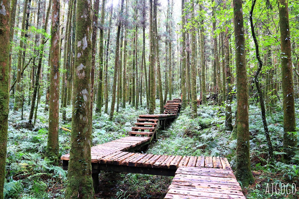 宜蘭景點 明池國家森林遊樂區 夏季避暑勝地 北橫公路景點推薦 宜蘭景點 明池國家森林遊樂區 夏季避暑勝地 北橫公路景點推薦