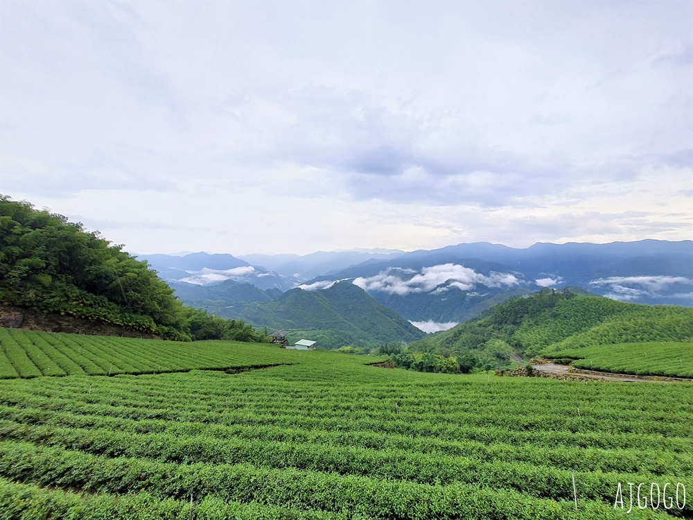 阿里山景點 霧之道 阿里山石棹茶園步道推薦 停車場 阿里山一日遊