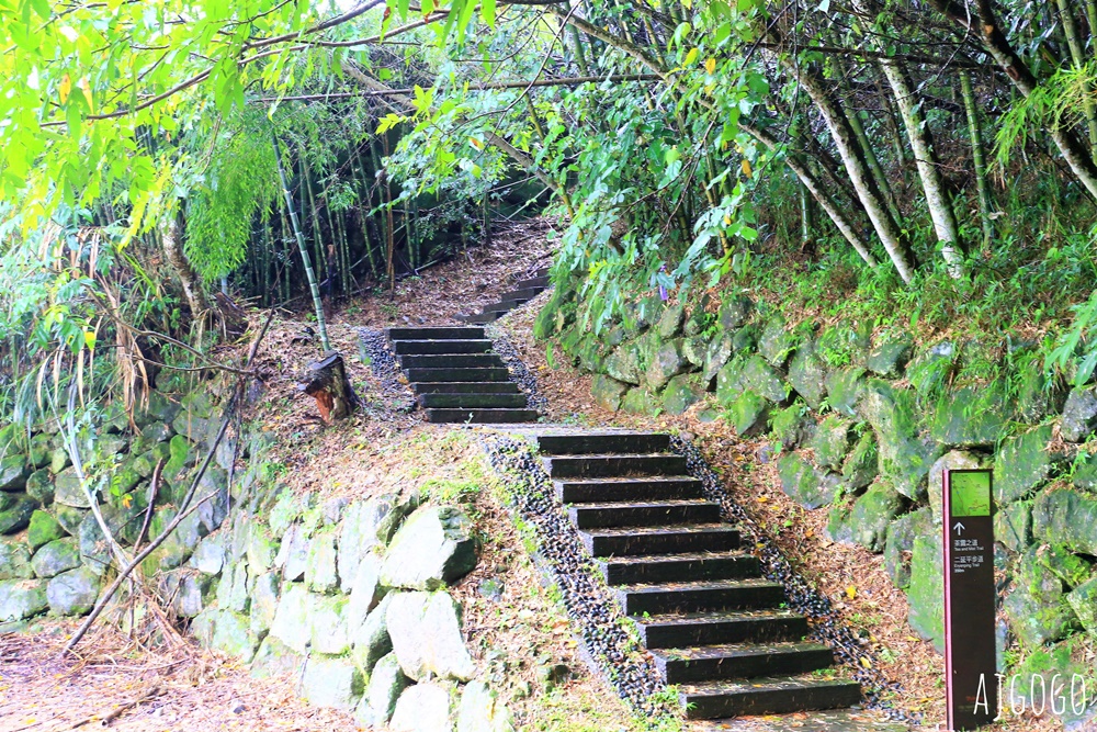 阿里山景點 霧之道 阿里山石棹茶園步道推薦 停車場 阿里山一日遊