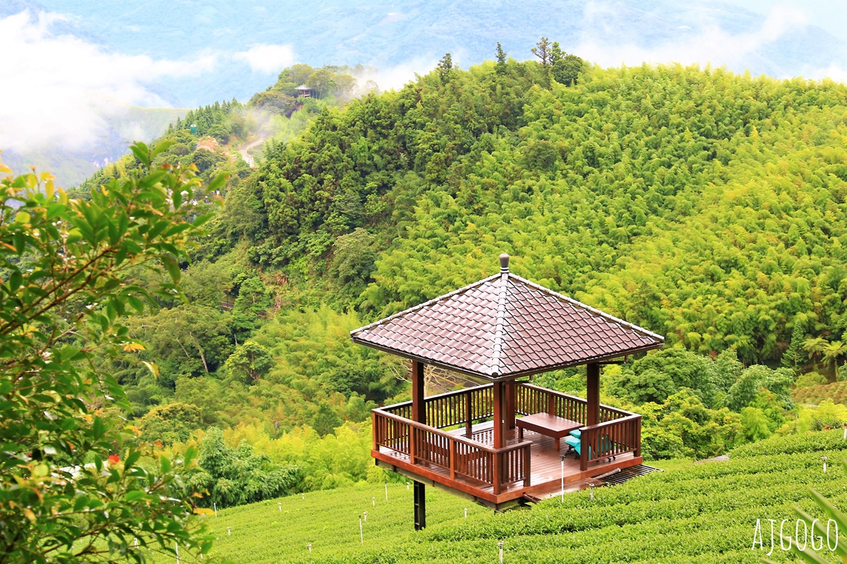 阿里山景點 霧之道 阿里山石棹茶園步道推薦 停車場 阿里山一日遊