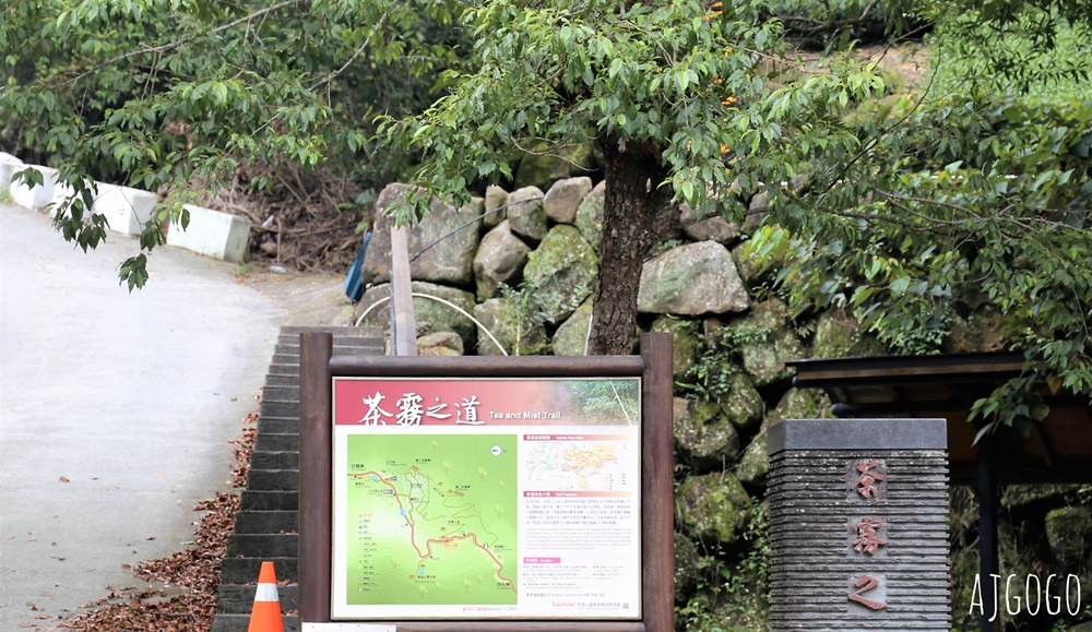 阿里山景點 霧之道 阿里山石棹茶園步道推薦 停車場 阿里山一日遊