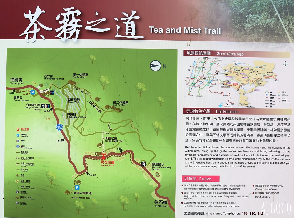 阿里山景點 霧之道 阿里山石棹茶園步道推薦 停車場 阿里山一日遊