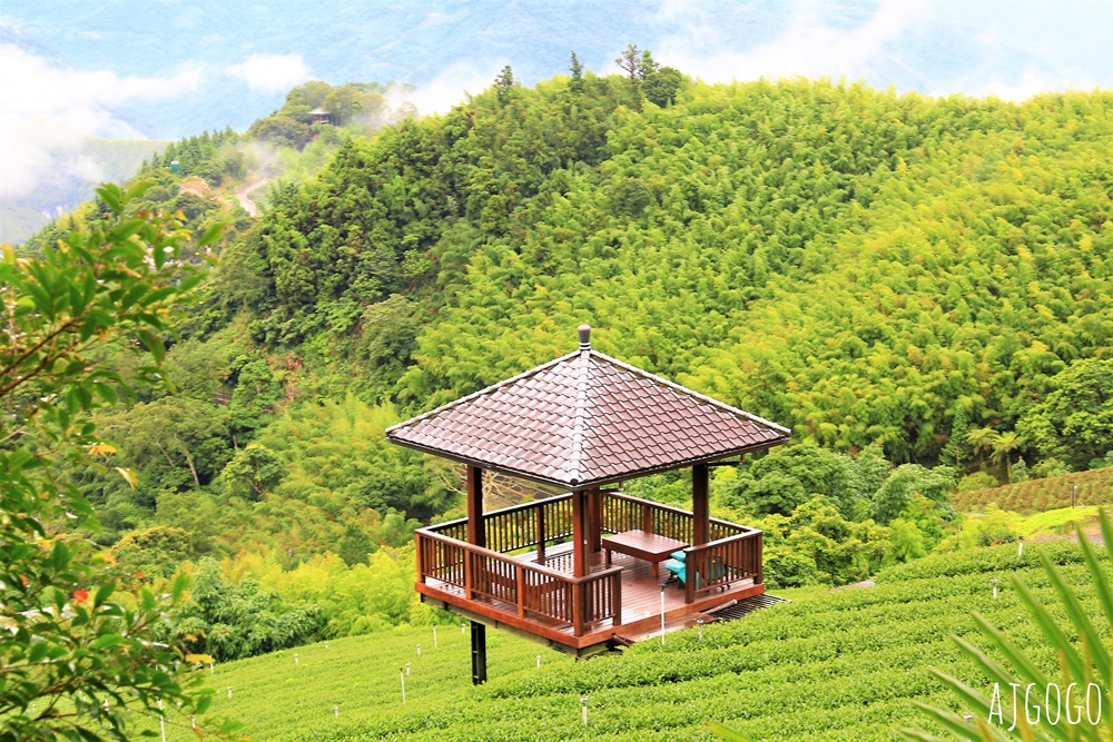 阿里山景點 霧之道 阿里山石棹茶園步道推薦 停車場 阿里山一日遊