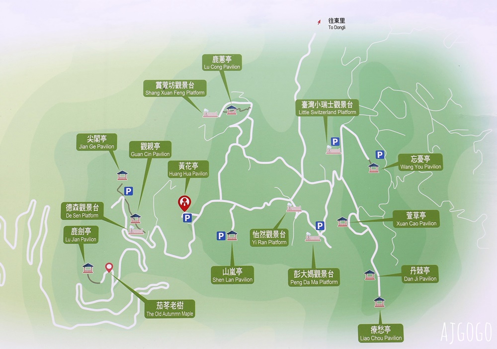 花蓮景點 花蓮六十石山金針花季 每年8~9月盛開 3座觀景台推薦 炸金針花好吃
